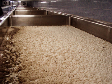 All about beer yeast. What is bottom fermentation, top fermentation and wild fermentation?