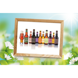 Spring package: the best beers for spring! - 10 bottles plus unique Flying Dutchman!